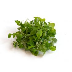 Freshly cut soil-grown wild arugula micro cress - 30g - ORDER BEFORE 12NN FOR NEXT DAY DELIVERY