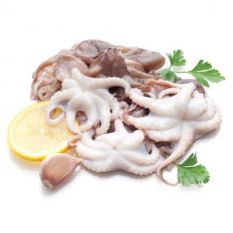 WILD-caught baby octopus 100/200g per piece - 4kg (frozen)