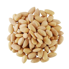 Salted blanched almond - 106g