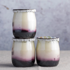 ORGANIC FRENCH YOGURT WITH BLUEBERRY COMPOTE - 125G
