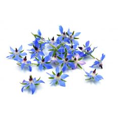Freshly cut Borage edible flowers - 20 pieces - ORDER BEFORE 12NN FOR NEXT DAY DELIVERY