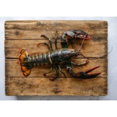 Live Canadian lobster 260 aed/kg - 500/600g per pc - price will be adjusted as per final weight