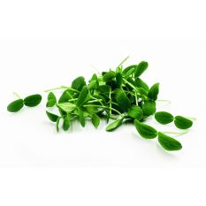 Freshly cut soil-grown comet cress - 30g - ORDER BEFORE 12NN FOR NEXT DAY DELIVERY