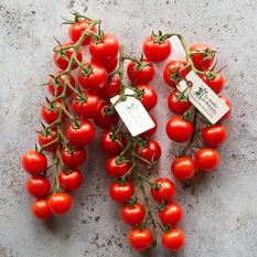 NEXT ARRIVAL 26.04 Exceptional cherry tomatoes - 300g - the most delicious and unique sweet taste cherry tomato available