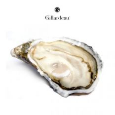Gillardeau "Speciales" oysters N3 - the Rolls-Royce of oysters