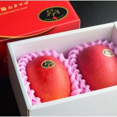 Exceptional Japanese mango Taiyo No Tamago from Miyazaki - 800g in a superb gift box