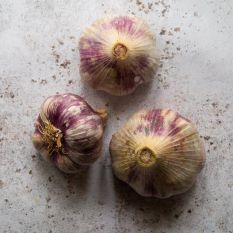 Lautrec pink garlic from South western France - 200g