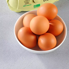 Certified organic free-range eggs XL size from France LAID 26.05 - x 6 