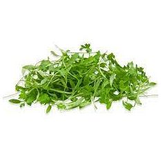 Freshly cut soil-grown micro coriander cress - 25g - ORDER BEFORE 12NN FOR NEXT DAY DELIVERY