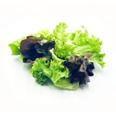 Freshly cut soil-grown mixed lettuce leaves - 500g - ORDER BEFORE 12NN FOR NEXT DAY DELIVERY