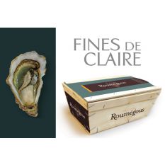 Roumegous Fine de Claire oysters n2 - from Charente-Maritime