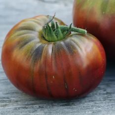 Premium black Crimean tomatoes - 1kg - sustainable agriculture
