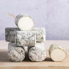 AOC St Maure de Touraine cheese/oiselliere (raw goat milk) - 170g