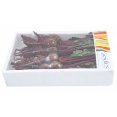 Baby red beetroot bunch punnet - 400g