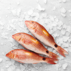 WILD red mullet 300/500g - 430 aed/kg - price will be adjusted as per final weight