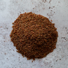 Organic red camargue rice PGI - 900g