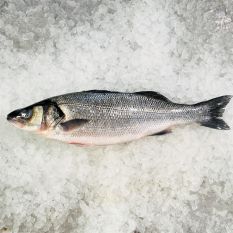Whole gutted fresh FARM seabass 135 aed/kg - from 1 to 1.2kg - price will be adjusted as per final weight 