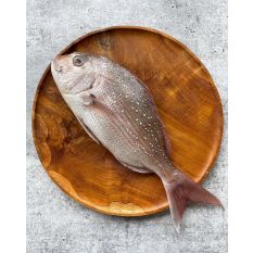 Fresh sea bream Madai from Japan - about 1.4kg 209 aed/kg (whole fish) - 7 days lead-time