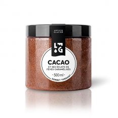 Artisanal cocoa sorbet with caramelized bean flakes - 500ml