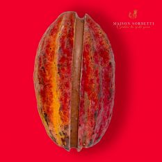 Cocoa sorbet in its original cocoa pod - 800g / piece (frozen) - 100% vegan, 100% natural