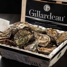 Gillardeau oysters N2 - 12 pieces - the Rolls-Royce of oysters