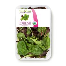 Mesclun / young shoot salad mix - 125g
