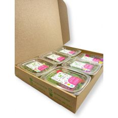 Freshly cut soil-grown special selection - signature box - 6 cress / Box - ORDER BEFORE 12NN FOR NEXT DAY DELIVERY
