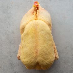 Whole duck (male) 73 aed/kg - about 3.5kg (halal) (frozen) price will be adjusted as per final weight