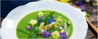 Edible flowers: color your dishes