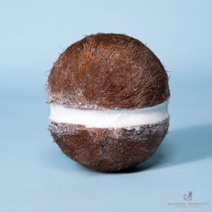 Frosted coconut sorbet in the original coconut - 600g per piece (frozen) - 100% vegan, 100% natural