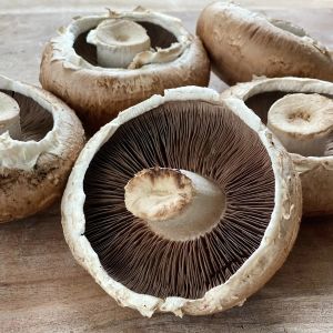 Fresh portobello mushrooms - 500g