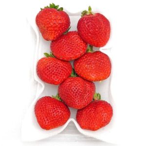 Premium Amaou strawberries from Fukuoka prefecture, Japan - 270g
