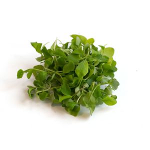 Freshly cut soil-grown wild arugula micro cress - 30g - ORDER BEFORE 12NN FOR NEXT DAY DELIVERY