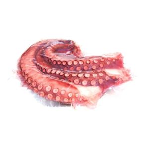 Ready-to-eat cooked wild-caught octopus tentacles 2 legs from Northern Atlantic Ocean - 300/400g (frozen) price will be adjusted as per final weight 