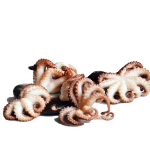 Fresh WILD baby octopus - 1kg 