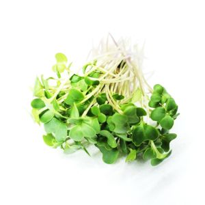 Freshly cut soil-grown broccoli sprouts micro cress - 30g - ORDER BEFORE 12NN FOR NEXT DAY DELIVERY