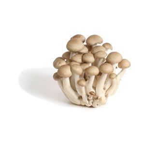 Fresh brown Shimeji mushroom - 500g