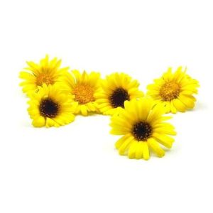 Freshly cut Calendula edible flowers - 8 pieces - ORDER BEFORE 12NN FOR NEXT DAY DELIVERY