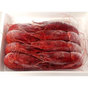 WILD whole raw carabineros from mediterranean sea sashimi grade - 1kg (frozen) - A rare and unique product - price will be adjusted as per final weight