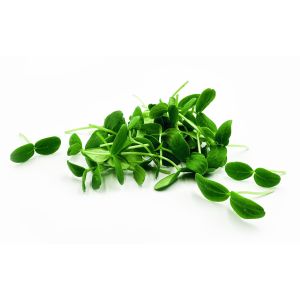 Freshly cut soil-grown comet cress - 30g - ORDER BEFORE 12NN FOR NEXT DAY DELIVERY