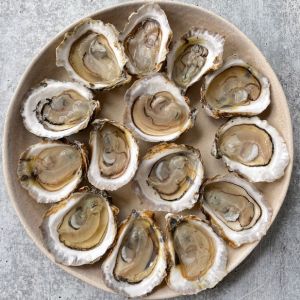Live local Dibba oysters N 2 - box of 50