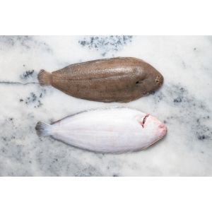 Whole WILD netted dover sole  400/600g/piece 360 aed/kg - price will be adjusted as per final weight