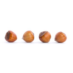 Whole fresh hazelnuts with shell caliber 30/32 - 500g