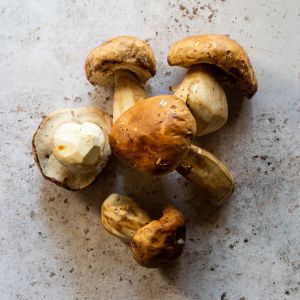 Frozen porcini mushrooms First Choice - 1kg