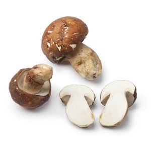Frozen half cut porcini mushrooms EXTRA - 1kg