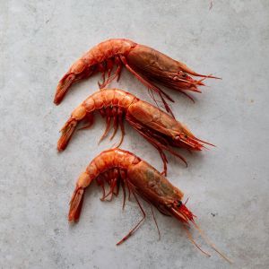Gambero Rosso, the most reputed red Italian prawns - (frozen)