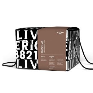 Artisanal Gianduja chocolate panettone - 750g - in an elegant gift box