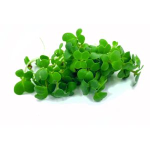 Freshly cut soil-grown green radish micro cress - 40g - ORDER BEFORE 12NN FOR NEXT DAY DELIVERY
