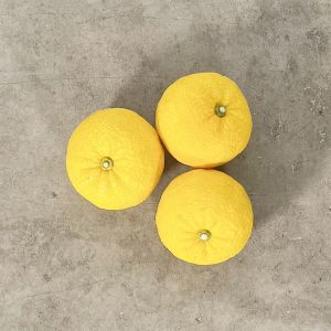 Premium Japanese untreated yuzu fruit 100g - price for 1 piece - essential citrus fruit of the Japanese cuisine