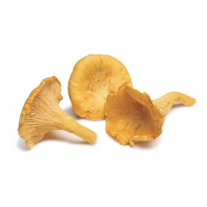Frozen chanterelles/girolles mushrooms - 1kg